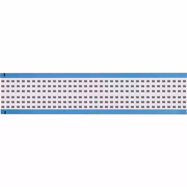 WM-66-SC-PK